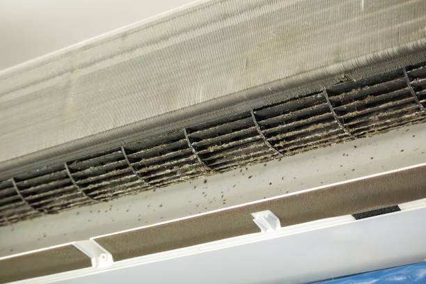 Best Dryer Vent Cleaning Services  in Pottstown, PA
